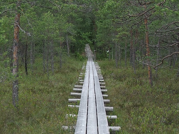 hiking trails