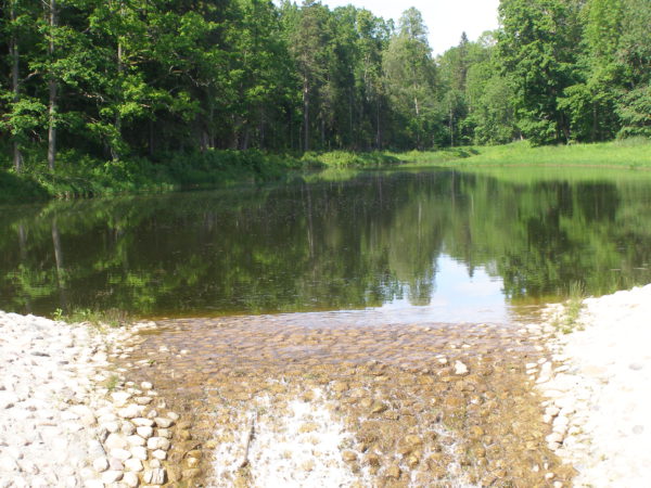 Artificial water bodies