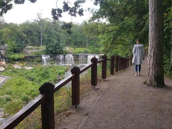 parkide uuendamine